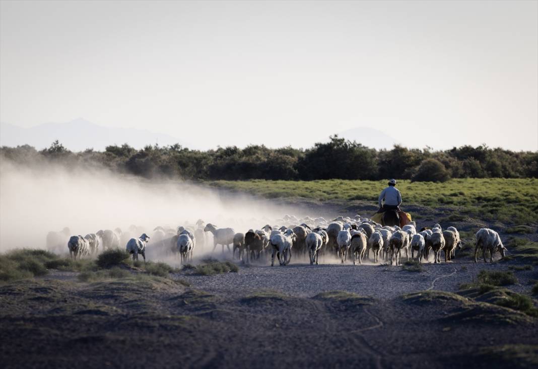 Konyalı besiciler kuraklığa çözüm buldu! Verim düşmeyecek 3